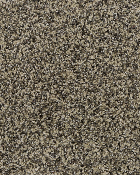 Charming Interest SmartStrand Silk Carpet