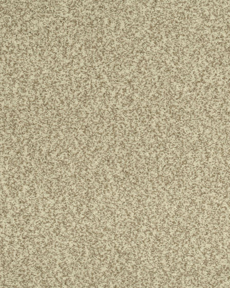 Cherished Tradition Bare Necessities Kashmere Carpet