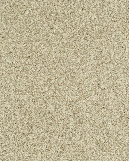 Cherished Tradition Haven Kashmere Carpet