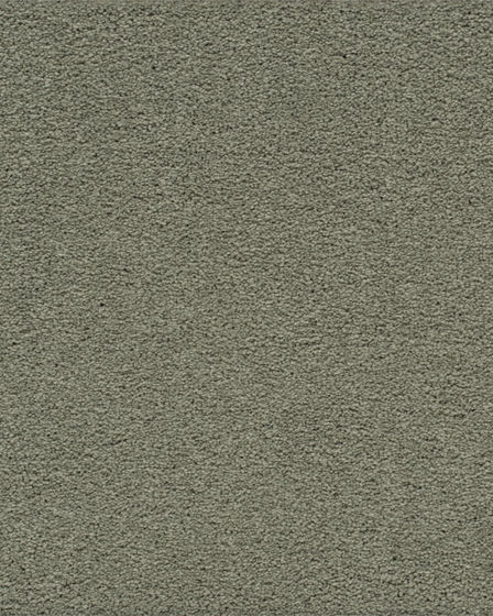 Classical Approach Rejuvenation Carpet