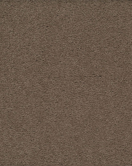 Classical Approach SmartStrand 70oz Carpet
