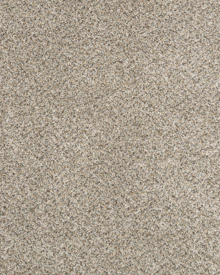 Claws and Effect II 58oz Pet Friendly Carpet