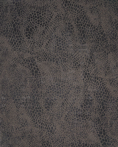 Desire DSR08 Charcoal Silver Area Rug