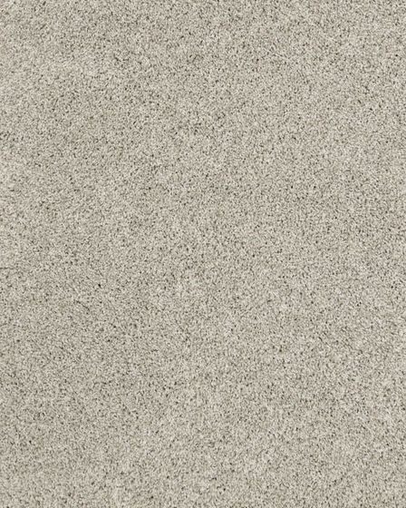 Diffurent Choice III 58oz Pet Friendly Carpet