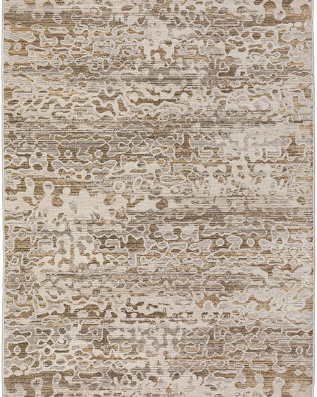 Denizi DZ6 Mocha Area Rug
