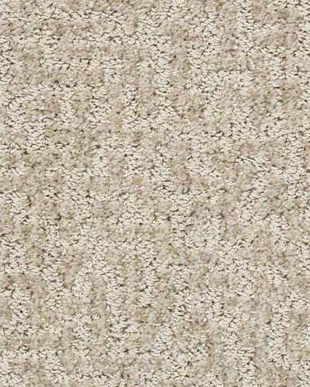 Emergence Patterned Pet Friendly 39oz Carpet