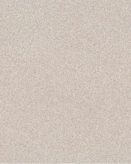Expertise Textured 48oz Pet Friendly Carpet