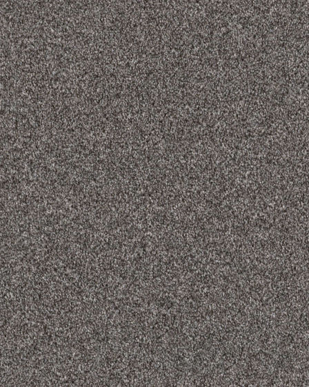 Expertise Sentimental 48.7oz Textured Carpet