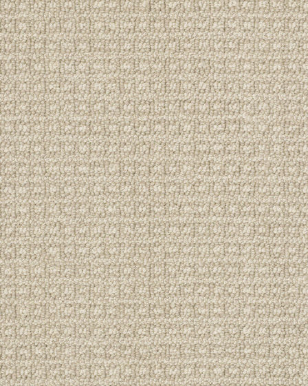 Fetch Pet Friendly Nylon 31oz Pattern Carpet
