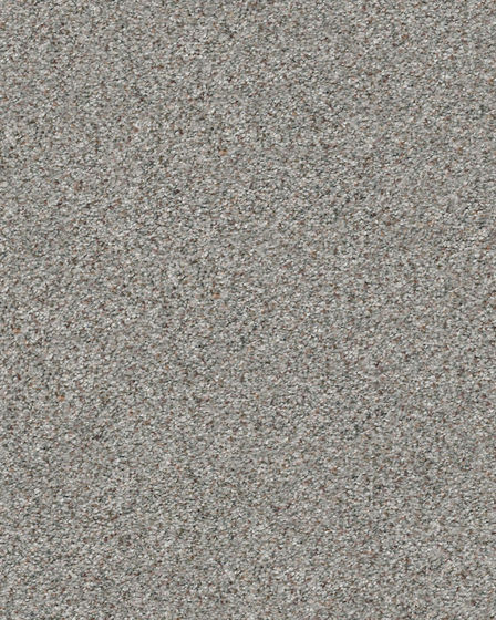 Find Your Comfort Accent II Nylon Carpet