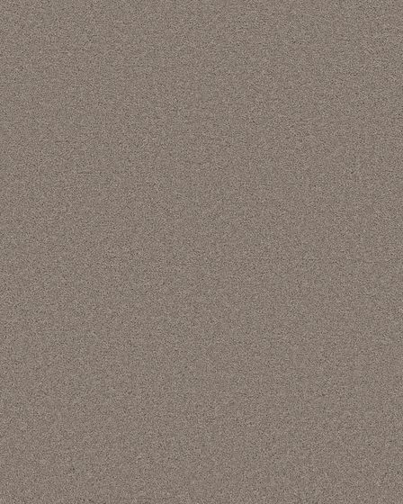 Flawless Beauty II Pebble Stone Textured Pet Friendly Carpet