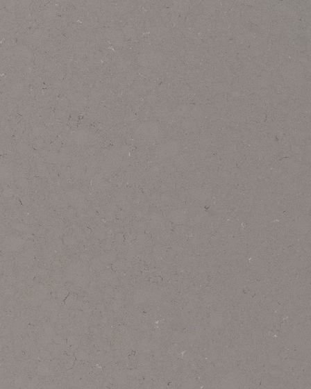 Fossil Gray Quartz Countertop