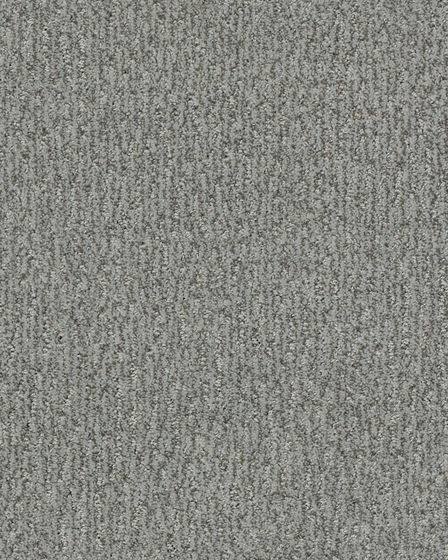 Fur-Ever Pet Friendly Nylon Carpet