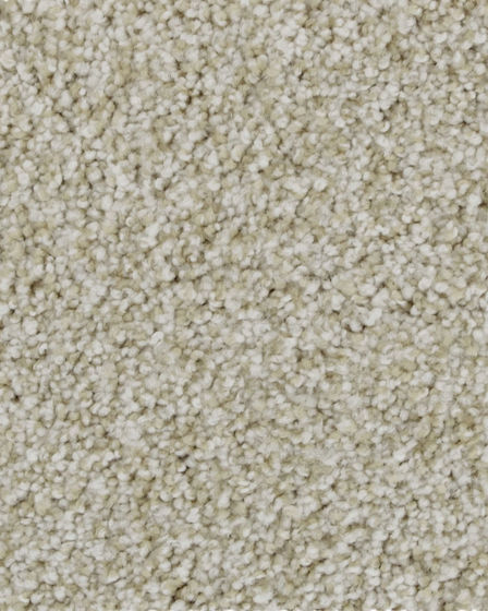 Celestia Nylon 70oz Textured Carpet