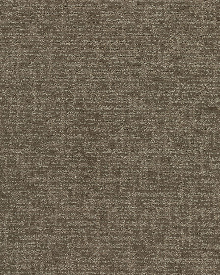 Modern Texture Timeless Carpet