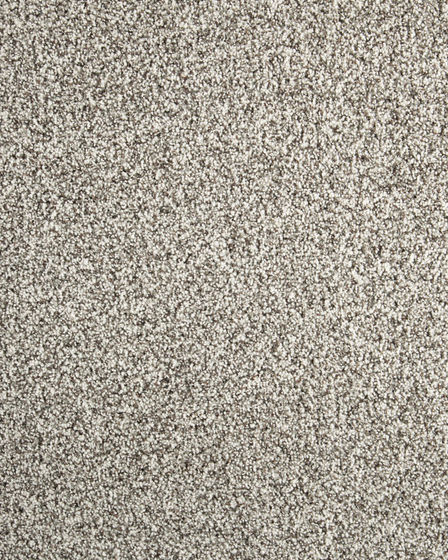 Detailed Statement Textured SmartStrand Carpet