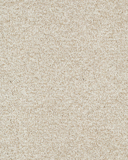 Stylish Connection Textured 45oz Nylon Carpet
