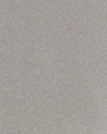 Impressive Shades Textured 50oz Carpet