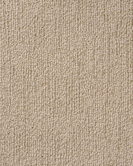 True North Patterned Nylon Blend Carpet