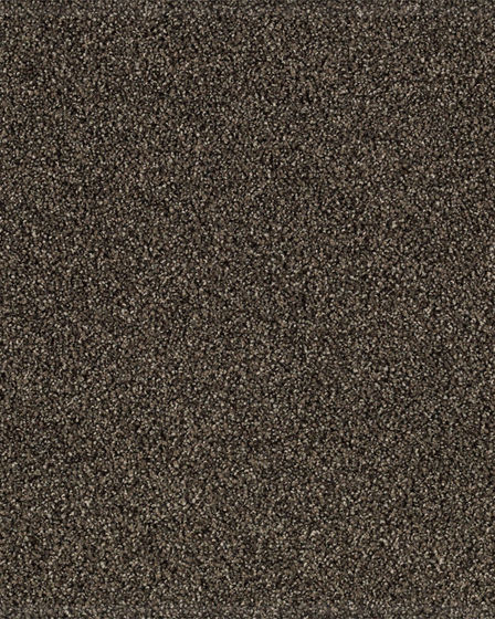Gentle Quality Kashmere Nylon Carpet