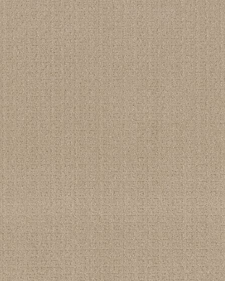Glamorous Portrait Loft Light 50oz Anso Nylon Patterned Carpet
