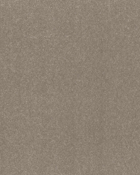 Hard At Play III Chic Greige Carpet