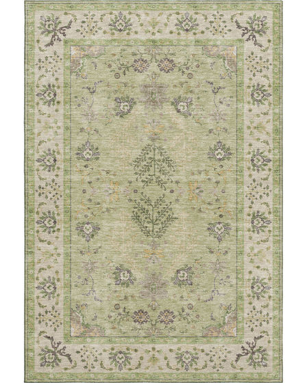 Hatay HY9 Aloe Area Rug