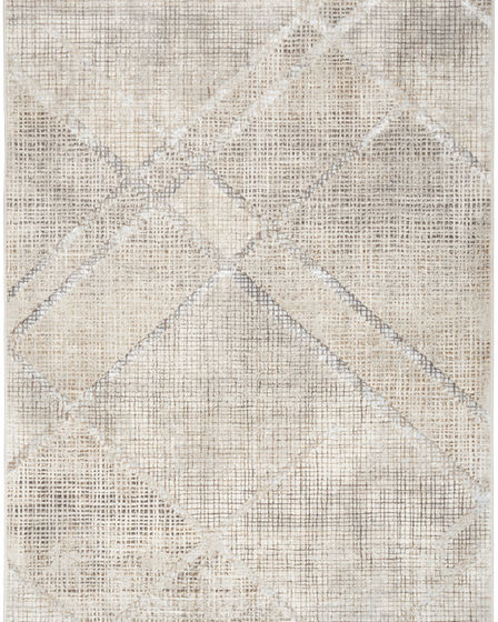 Iliana ILI03 Grey Area Rug