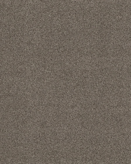 Impressions Nylon 63oz Carpet