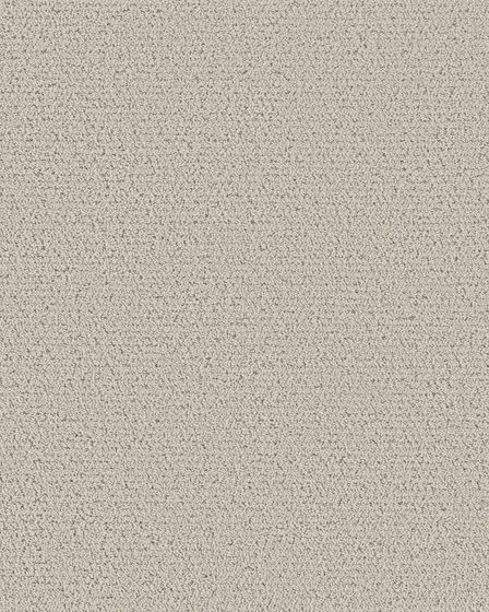 Intricate Trace Pet Friendly 43oz Carpet
