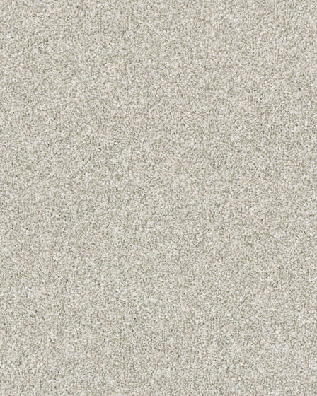 Just A Hint I Textured 43oz Carpet