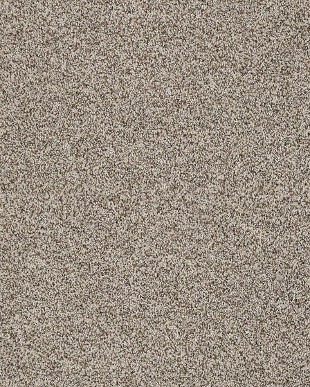 Artisan Elements Kashmere Nylon Textured Carpet