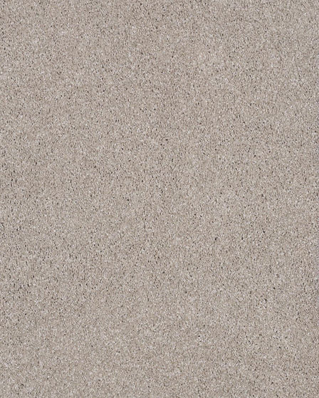 Lavish Attraction Textured Carpet