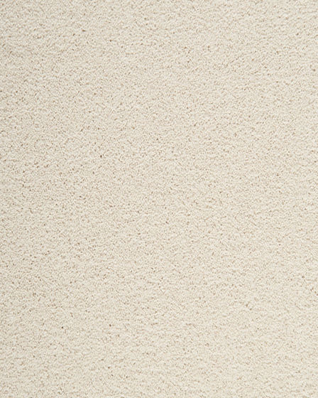 Delightful Intent SmartStrand 42oz Carpet