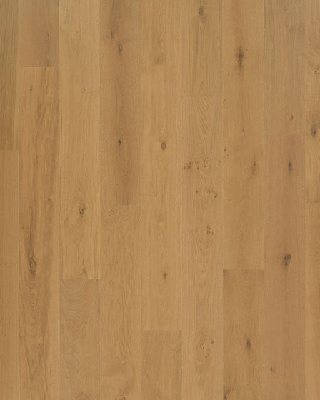 The Gault Estate Norwich Honey Oak 8.5" Hardwood