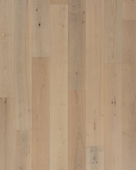 Bellacree Smokey Taupe 7" Maple Hardwood