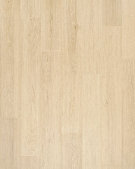 Andilet Buff Cream Oak BelleLuxe 8" Laminate