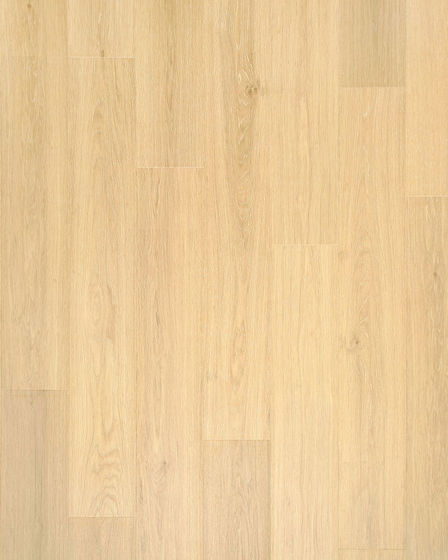 Andilet Glazer Ginger Oak BelleLuxe 8" Laminate