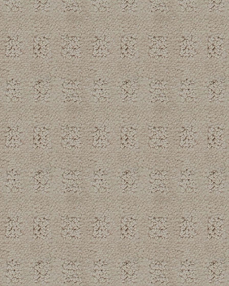 Majestic Elegance Patterned Carpet