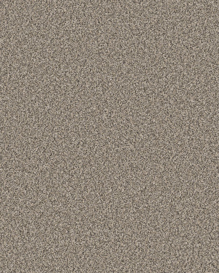Mirador Textured 73oz Carpet