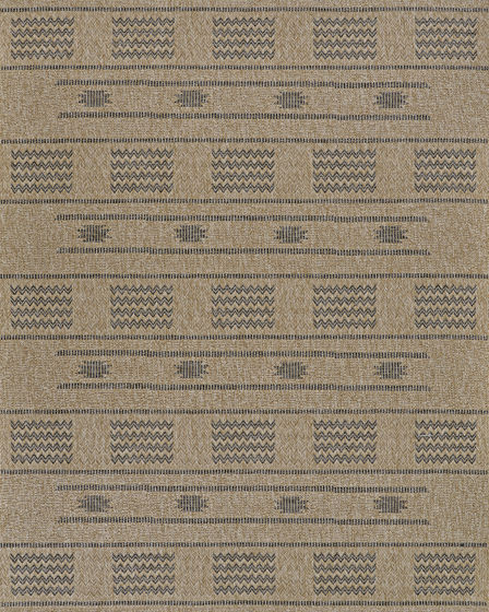 Naturalistic Sonoran Natural/Charcoal Area Rug