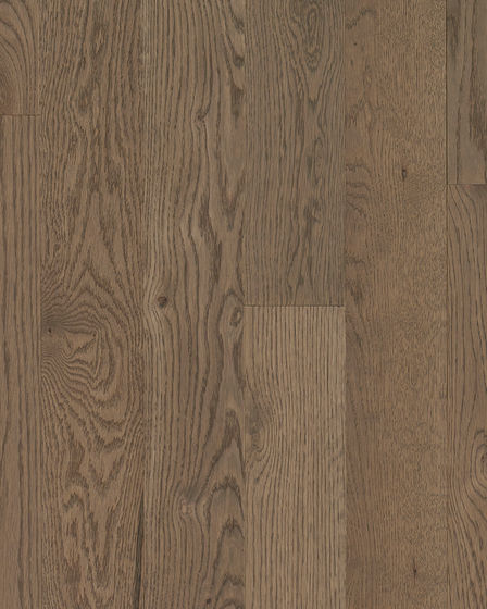Natural Forest Oak 4" Tree Top Hardwood