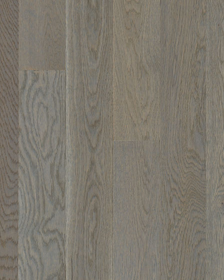 Natural Forest Oak 4" Understated Gray Hardwood