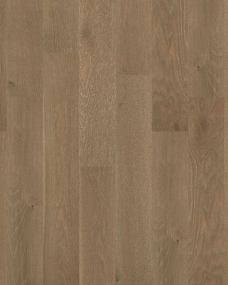 Noble Hall White Oak Majesty 7" Hardwood