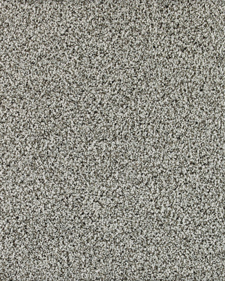 North York Textured Kashmere Nylon Carpet