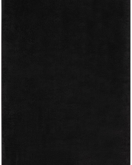 Nourison Essentials NRE01 Black Area Rug