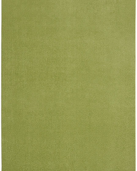 Nourison Essentials NRE01 Green Area Rug