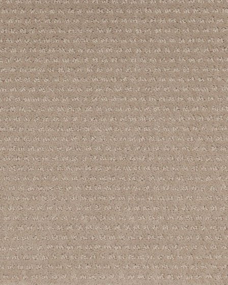 Luxurious Moment Patterned SmartStrand Carpet
