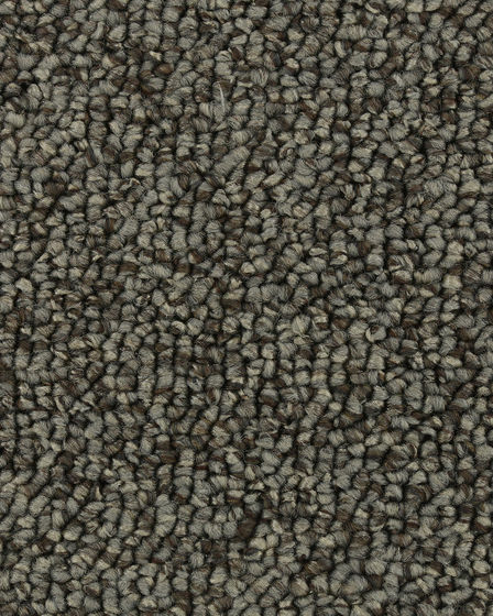 True Distinction EverStrand Carpet