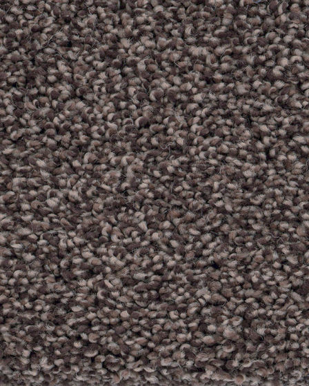Oracle Textured Nylon Carpet